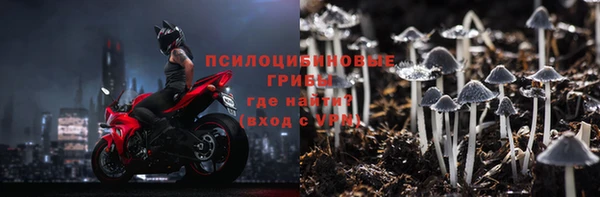 PSILOCYBIN Балахна