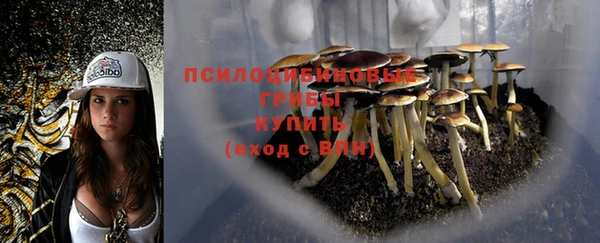 винт Аркадак