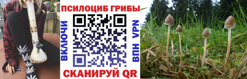 Псилоцибиновые грибы мицелий маркетплейс как зайти Орлов цена наркотик